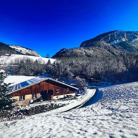 Appartement Dans Maison Familiale Bellevaux Exteriér fotografie