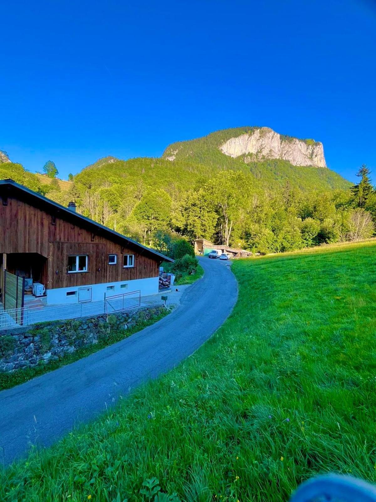 Appartement Dans Maison Familiale Bellevaux Exteriér fotografie